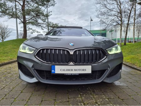 2021 BMW 8-Series - photo 9