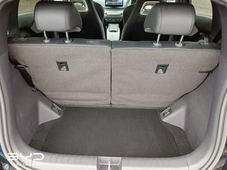 2026 BYD DOLPHIN SURF - photo 10
