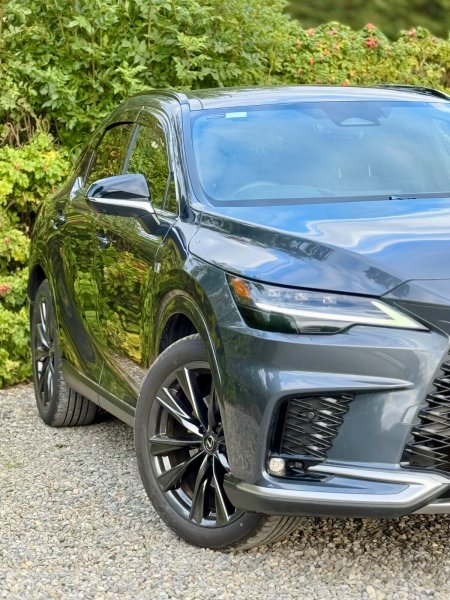 2025 Lexus RX - photo 4