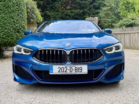 2020 BMW 8-Series - photo 11