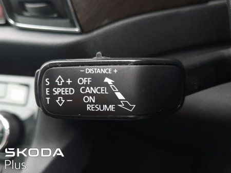 2022 Skoda Kodiaq - photo 30