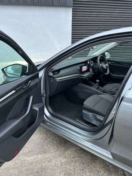 2024 Skoda Octavia - photo 19