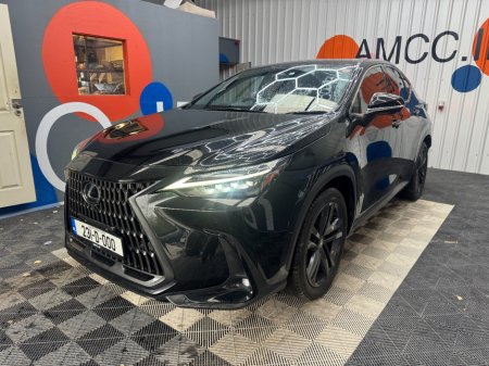 2023 Lexus NX - photo 6