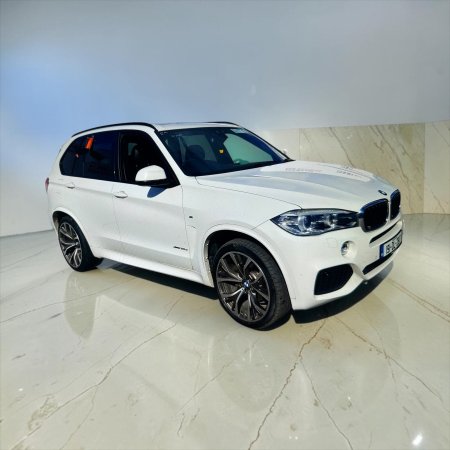 2019 BMW X5 - photo 12