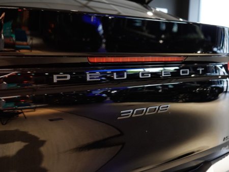 2024 Peugeot 3008 - photo 7