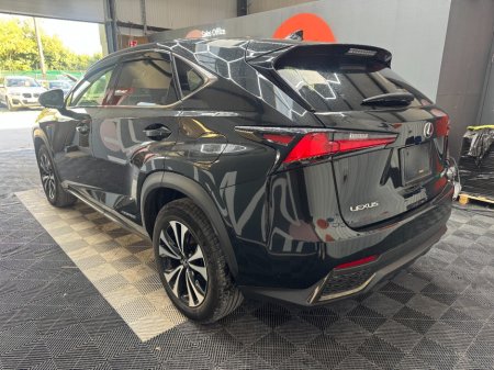 2020 Lexus NX - photo 5