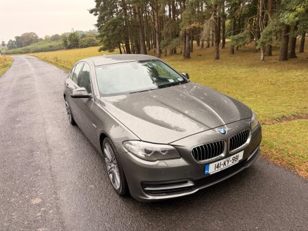 2014 BMW 5-Series - photo 38