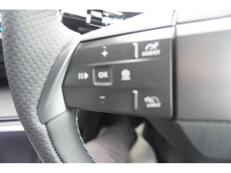 2026 Opel Grandland - photo 31
