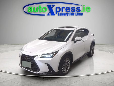 2023 Lexus NX - photo 2