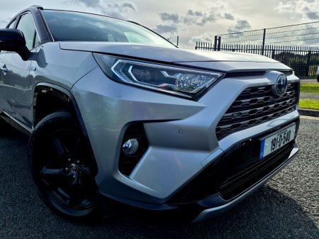 2019 Toyota RAV4 - photo 5