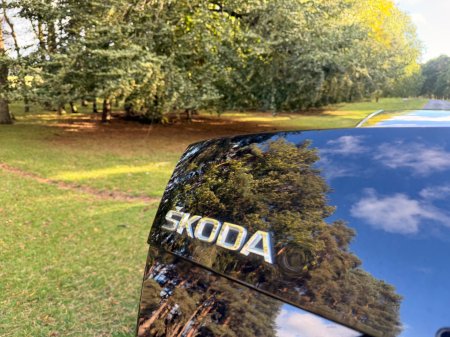 2017 Skoda Octavia - photo 33