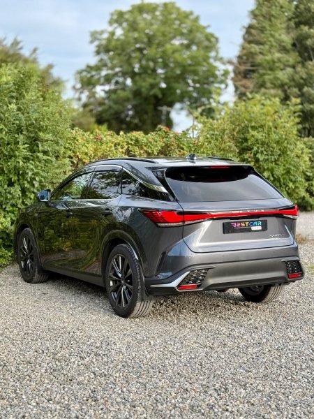 2025 Lexus RX - photo 11