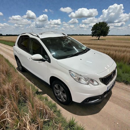 2016 Peugeot 2008 - photo 12