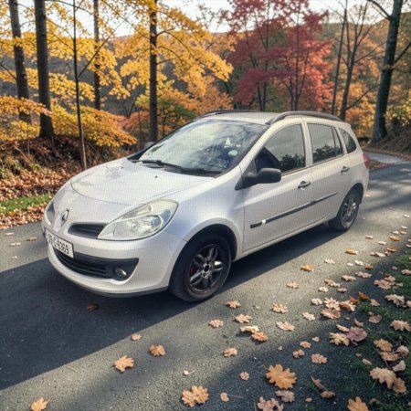 2009 Renault Clio - photo 11
