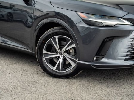 2024 Lexus RX - photo 2
