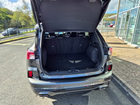 2024 Ford Kuga - photo 3
