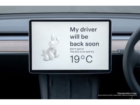 2022 Tesla Model Y - photo 25