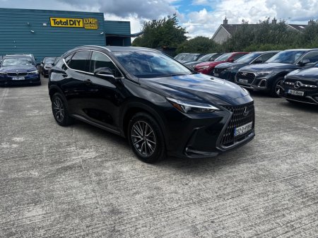 2025 Lexus NX - photo 2