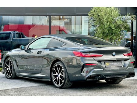 2019 BMW 8-Series - photo 5