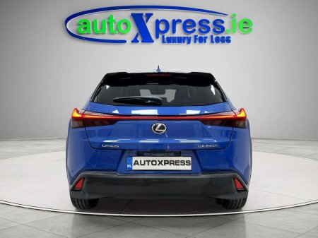 2020 Lexus UX - photo 11