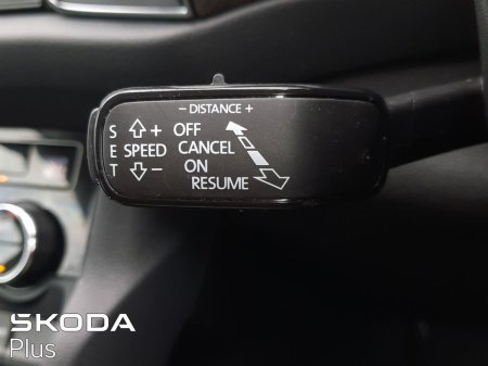 2024 Skoda Kodiaq - photo 32
