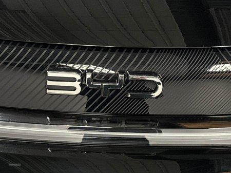 2025 BYD DOLPHIN - photo 28