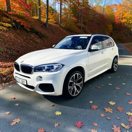 2019 BMW X5 - photo 16