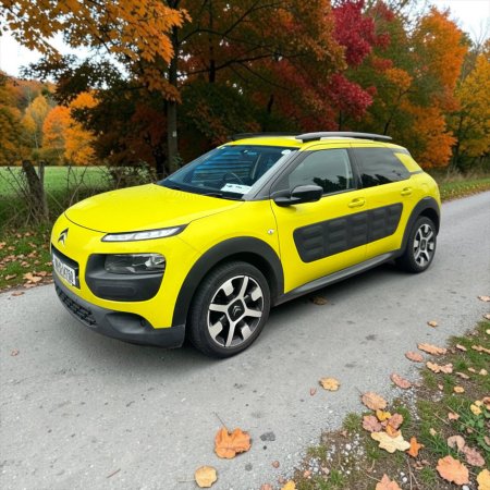 2016 Citroen C4 Cactus - photo 12