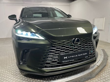 2024 Lexus RX - photo 19