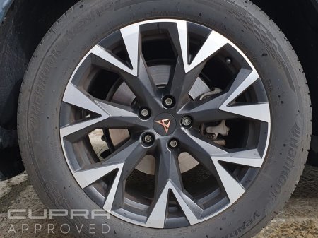 2026 Cupra Terramar - photo 6