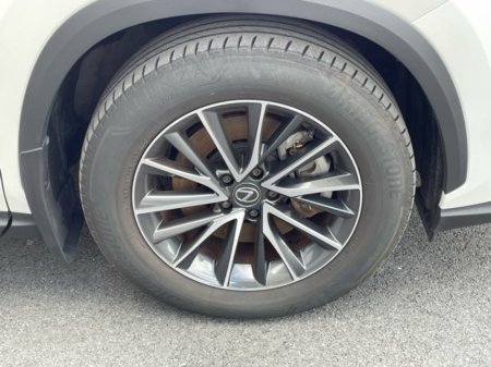 2024 Lexus NX - photo 10