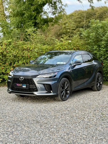 2025 Lexus RX - photo 7