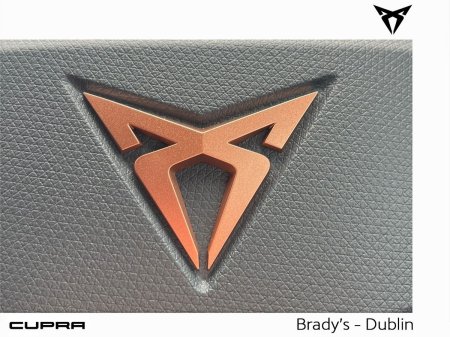 2026 Cupra Tavascan - photo 23