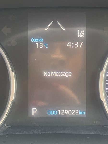2019 Toyota RAV4 - photo 14