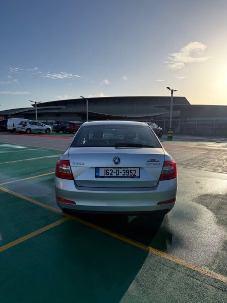 2016 Skoda Octavia - photo 6