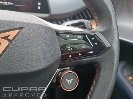 2025 Cupra Tavascan - photo 20
