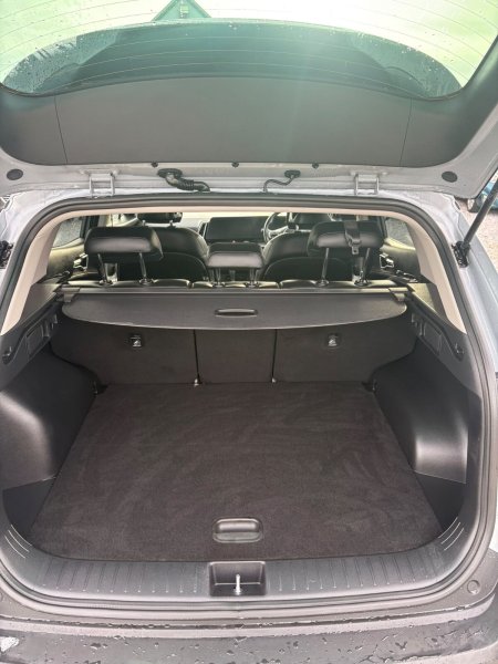 2024 Kia Sportage - photo 10