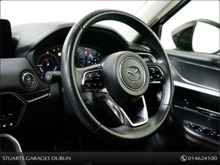 2025 Mazda CX-60 - photo 14