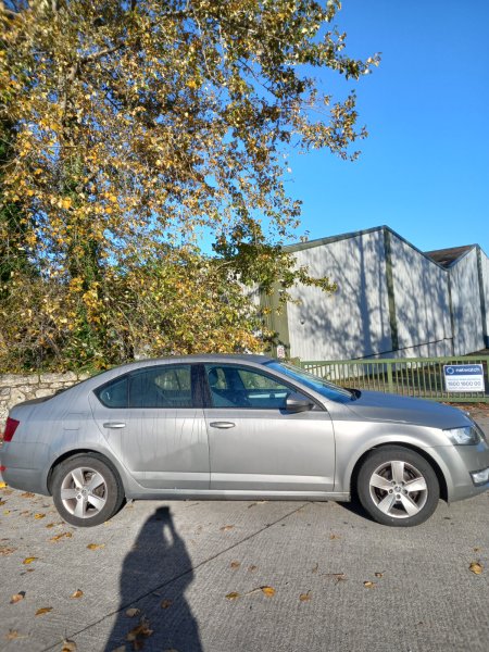 2017 Skoda Octavia - photo 13