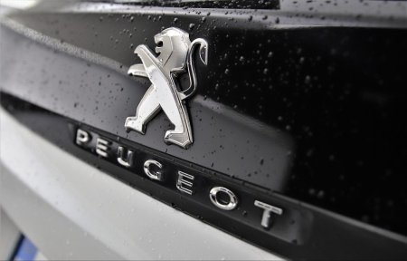 2024 Peugeot 3008 - photo 29