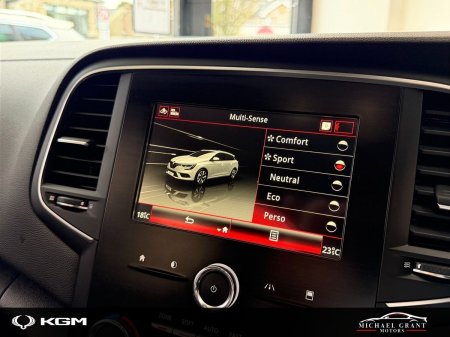 2020 Renault Megane - photo 26