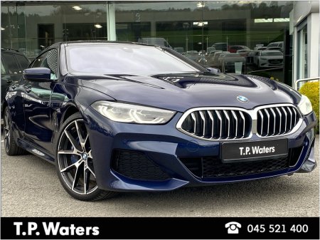 2020 BMW 8-Series - photo 16