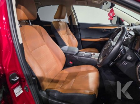 2019 Lexus NX - photo 14