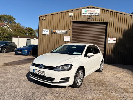 2013 Volkswagen Golf - photo 8