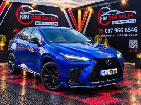 2025 Lexus NX - photo 4