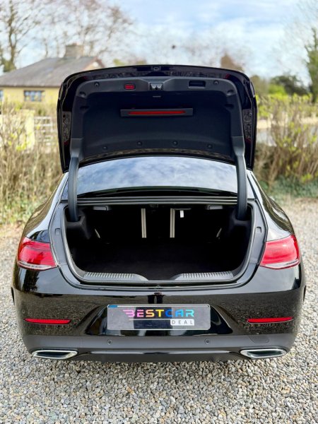 2019 Mercedes-Benz CLS - photo 34