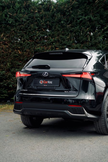 2019 Lexus NX - photo 4