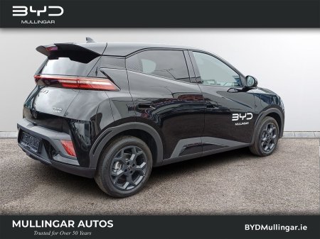 2026 BYD DOLPHIN SURF - photo 15