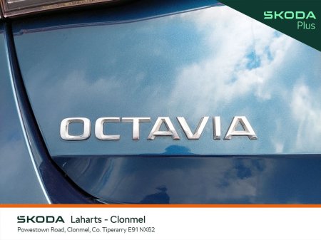 2024 Skoda Octavia - photo 56