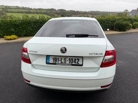 2019 Skoda Octavia - photo 10
